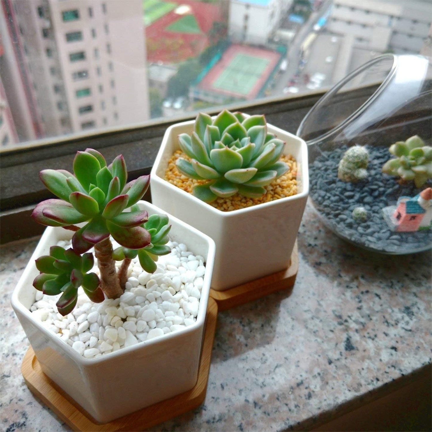 Modern Ceramic Tabletop Planter Set