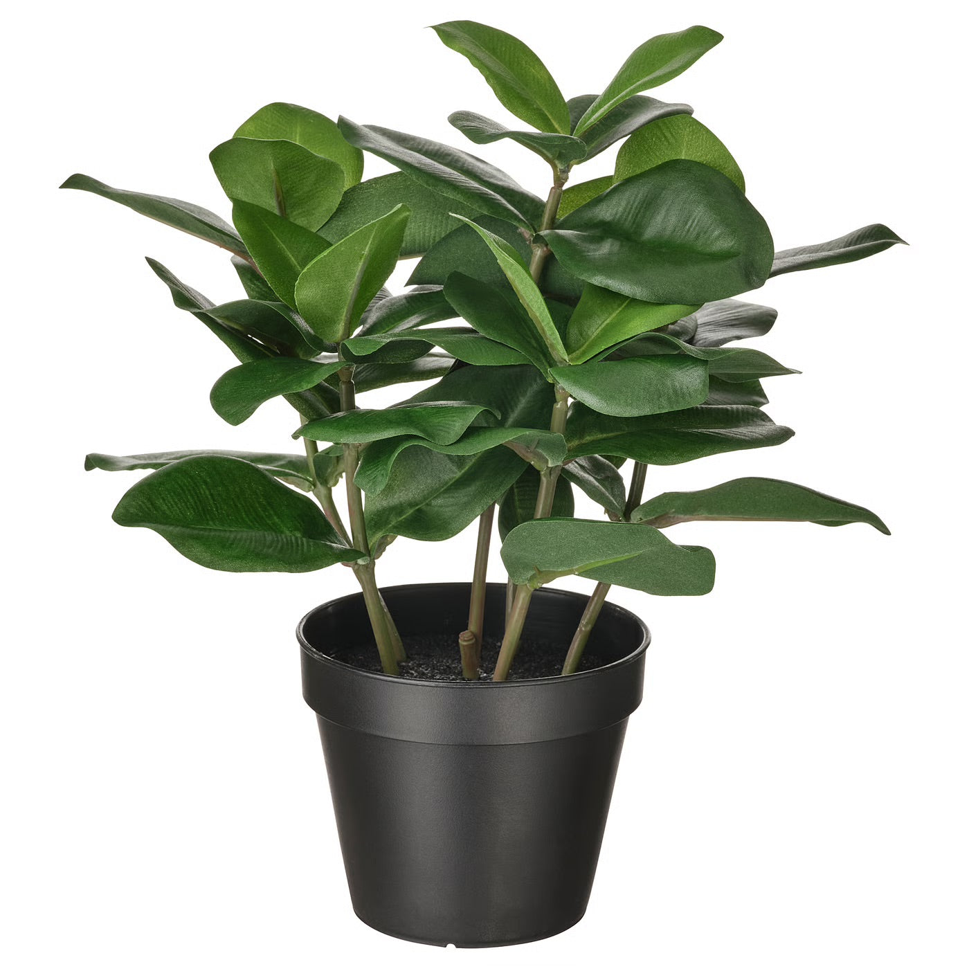 Indoor Planters