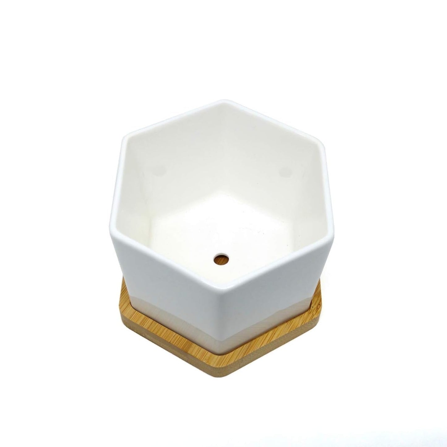 Modern Ceramic Tabletop Planter Set