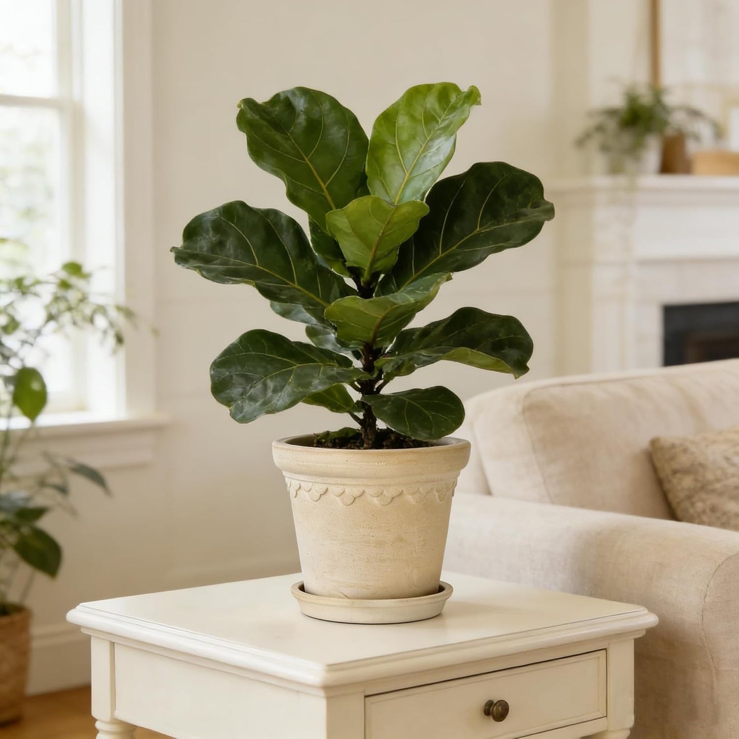 Terracotta Outdoor Planter
