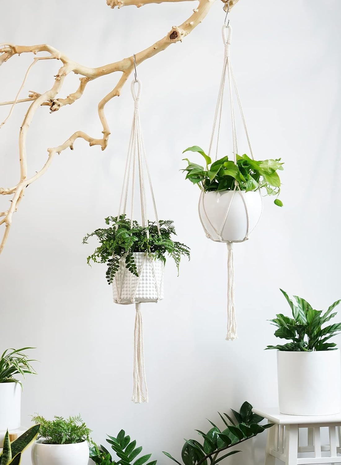 Hanging Macrame Planter with Ceramic Pot